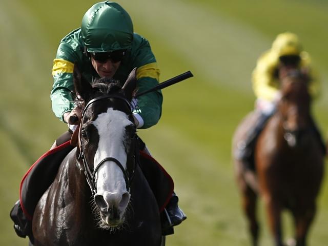 Course and Distance winner Kool Kompany has an outsider's chance in the 2,000 Guineas